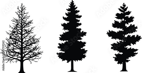 Tree silhouette vector illustration with deciduous branches, pine evergreen, conical foliage, decorative nature artwork, abstract design composition, creative scenery concept, modern botanical pattern