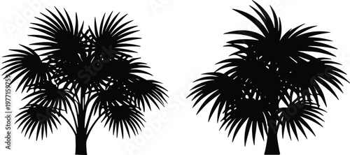 Two palm tree silhouette vector illustration with distinct canopy styles, tropical design, minimalistic black and white decorative artwork