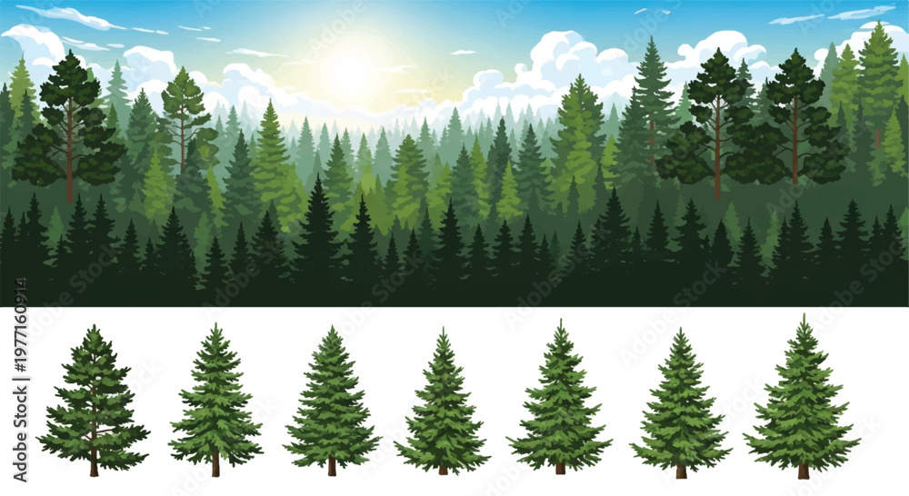 Fototapeta premium Forest Panorama view. Nature landscape. Forest silhouette. Forest background. Vector illustration. 