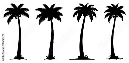 Set of four coconut palm tree silhouettes tropical nature elements vector illustration