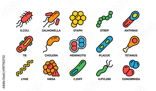 Colorful illustrations of various bacteria and diseases with labels