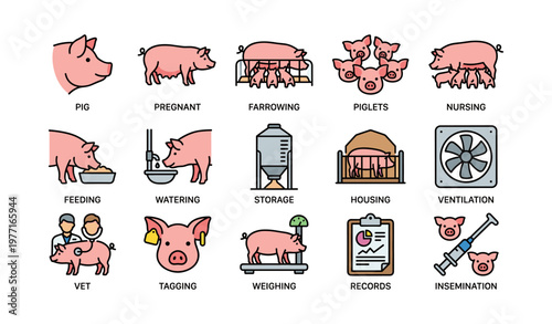 Pig farming: farrowing, nursing, feeding, ventilation, insemination process overview