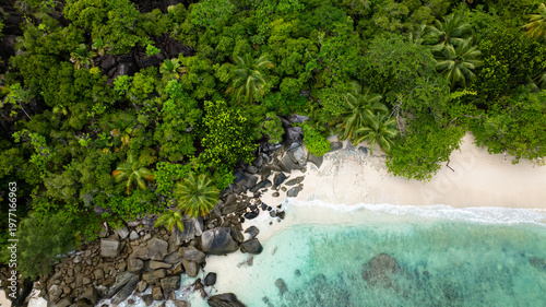 Lush green forest bordering a sandy beach with scattered rocks, leading into the turquoise water. Butzel Beach. Seychelles, Mahe.