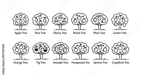 Collection of stylized fruit trees with labels, including apple, pear, cherry, peach, plum, and lemon