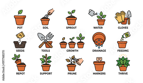 Illustrated guide to potted plant care: soil, sprout, water, and more