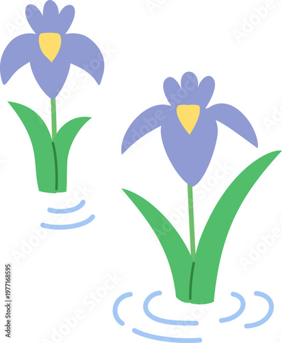 シンプルでかわいい花菖蒲のイラスト
