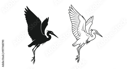 Elegant Heron Silhouettes Art Design Vector