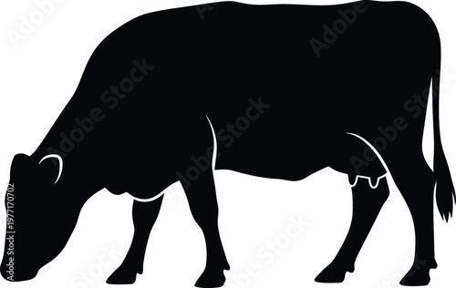 Silhouette grazing dairy cow side view clean farm animal vector illustration