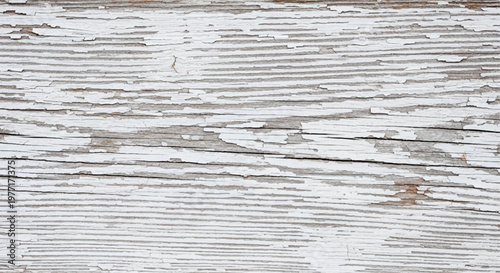 Natural white wood texture. White distressed wooden background for design. White distressed wood with peeling paint and grain.