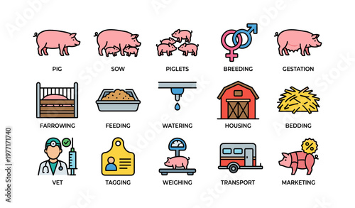 Swine farming process icons: breeding, feeding, housing, transport, marketing