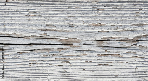 Natural white wood texture. White distressed wooden background for design. White distressed wood with peeling paint and grain.