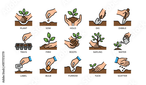 Gardening techniques illustrated: planting, watering, and growing plants