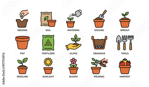 Gardening tools and stages: seedling to harvest in illustrations