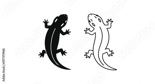 Salamander vs Newt: Amphibian Identification Guide Vector
