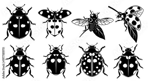 Ladybugs decorate this artistic collection of detailed black ink.