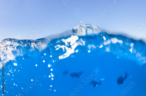 Group of divers swimming just below the surface.