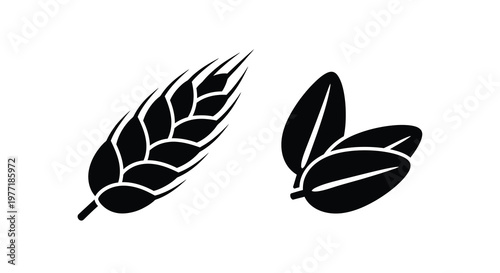 Black silhouette illustration of barley and coffee beans side by side
