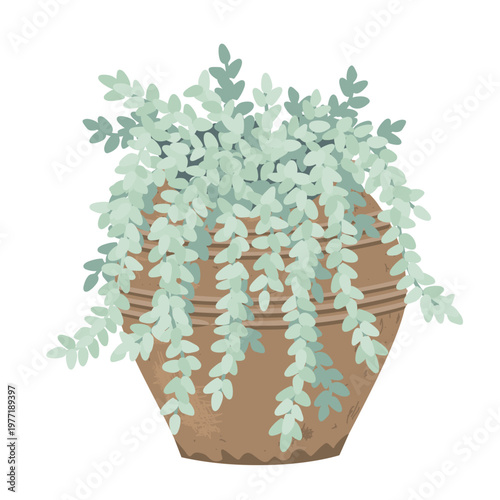 Potted Sedum morganianum. Burrito Donkey Tail Succulent plant in a clay pot. Vector isolated illustration