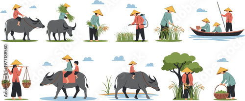 Traditional Asian Farmers Vector Set Featuring Rice Harvesting, Water Buffalo Riding, Boat Rowing, and Rural Agricultural Life Scenes for Cultural and Educational Designs