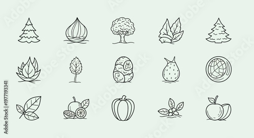 Black and white line drawings of various fruits and leaves on a light green background