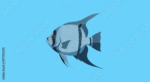 Angelfish illustration, blue background, aquatic life, underwater creature
