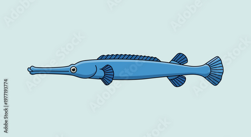 Blue Needlefish Illustration - Marine Life