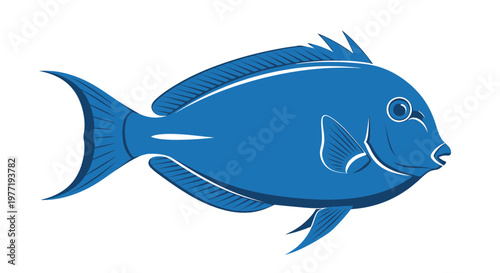 Blue Surgeonfish Illustration Isolated on White Background