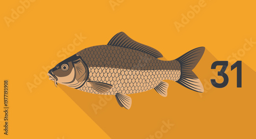 Carp fish illustration with number 31 on orange background, flat design