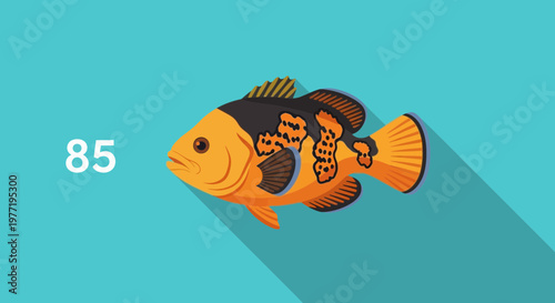 Illustration of a colorful orange and black fish with number 85 on a blue background
