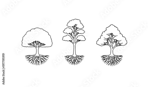 Minimal tree with roots vector set simple black and white nature concept illustration isolated on white background