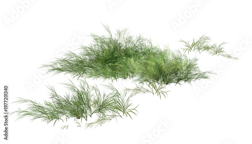 Fotografía dill isolated on white/High Resolution Green Grass Bushes Isolated on White Back
