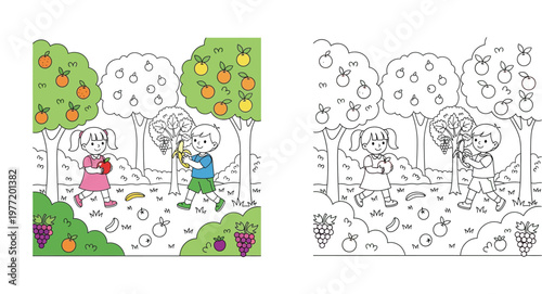 Cute children harvesting fruits in orchard. Colored illustration and black and white line art coloring page for kids with boy, girl, apples, and bananas. Vector activity sheet.