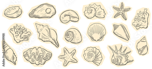 Vintage engraving seashell, starfish, coral sketch set. Ocean marine sticker pack. Hand drawn line art sea life cut out elements. 