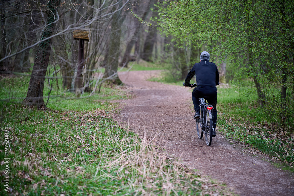 Fototapeta premium Man riding a bicycle on a winding dirt path through a spring forest, Rudy, Cistercian Abbey Landscape Park, Rudy, Silesia, Poland, Europe.