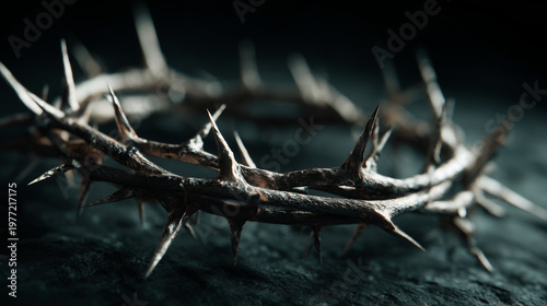 Crown of Thorns: The image is of a rustic crown with long thorns, capturing a sense of solemnity and strength.