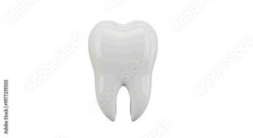 Vector illustration of 3d render of a healthy white molar tooth on a transparent background