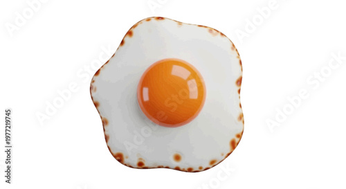 Vector illustration of fried egg with a bright yellow yolk on a transparent background
