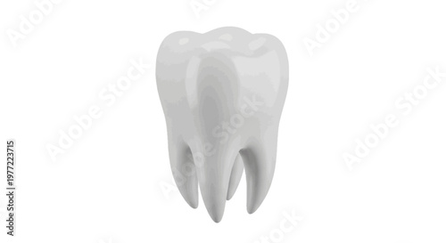 Vector illustration of 3d illustration of a human molar tooth on a transparent background