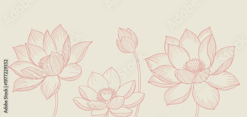 Pink line of three lotus flowers and a bud on a light beige background featuring detailed botanical petals and stamens in a horizontal composition