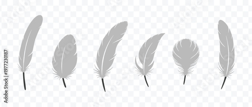Collection of Elegant Grey Feather Vector Icons. Diverse Bird Feathers for Delicate, Light, and Soft Designs.
