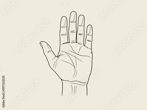 Human palm line art illustration for palmistry