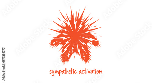 Vibrant orange explosion, abstract burst, energetic design element, sympathetic activation