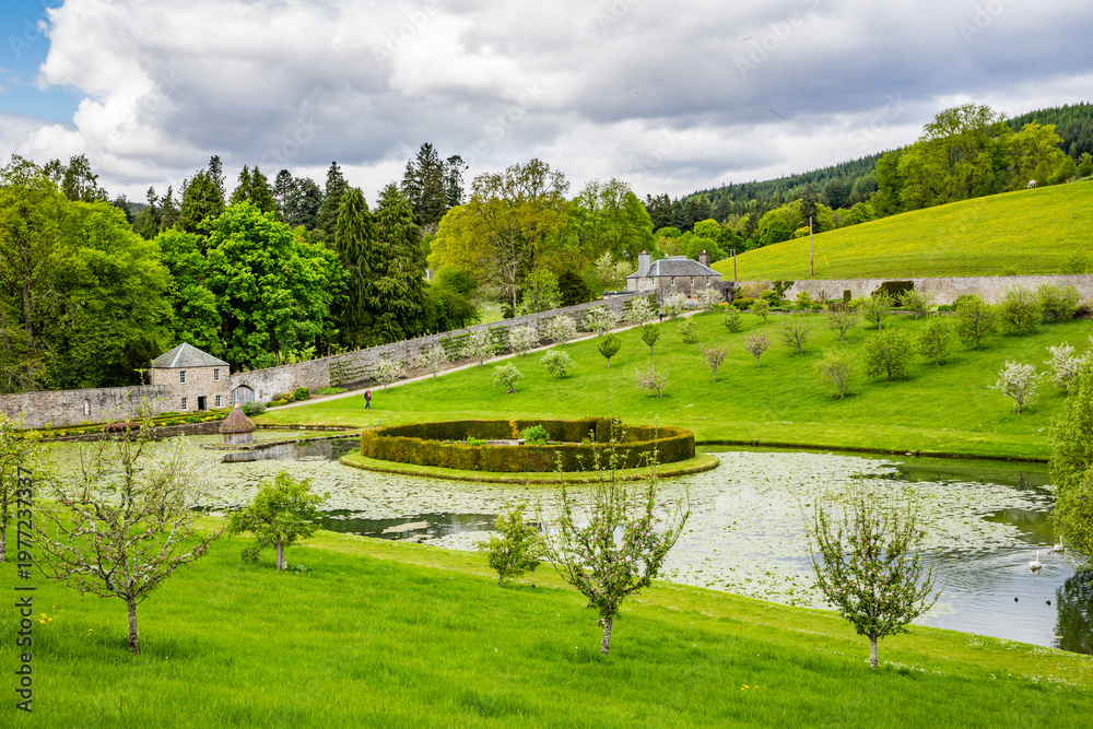 Fototapeta premium park in Scotland 