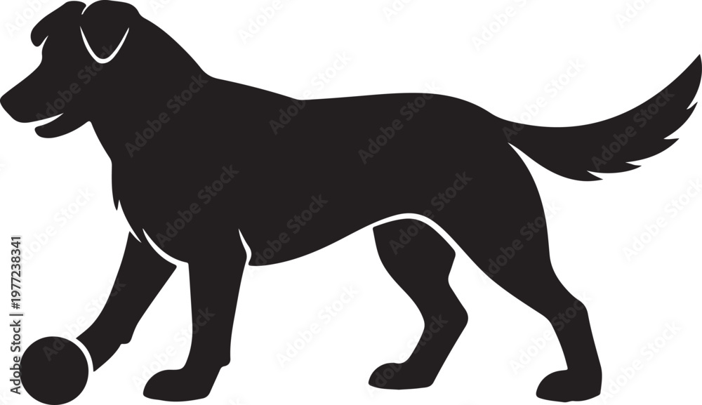 Fototapeta premium Black silhouette of a playful dog with a ball, isolated on a white background. Vector illustration of a loyal pet standing in a side view profile.