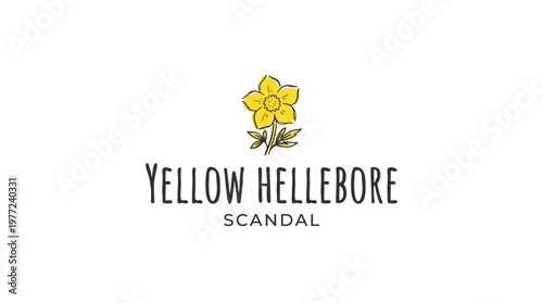 Yellow Hellebore with Text Logo on White Background