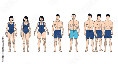 Comparison of various male and female body types and heights illustrated with figures in simple blue swimwear and shorts for anatomy study.