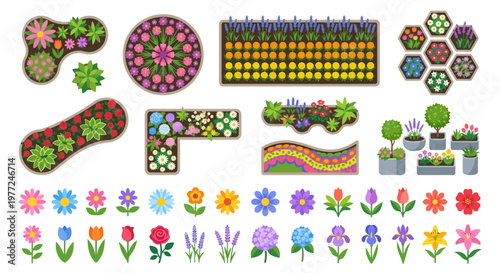 Colorful top down views of various flowerbeds and individual blossoms