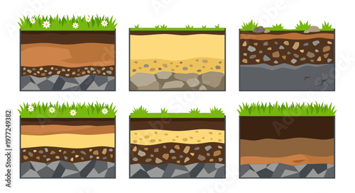 Cross sections of various soil layers with grass and floral elements