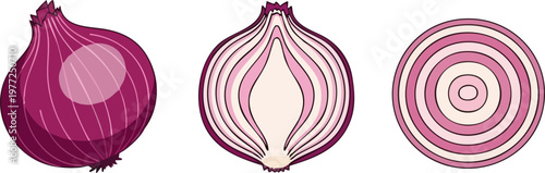 Red onion vector set with whole bulb, half cut, and round slice. Purple onion vegetable illustrations for cooking recipes and food packaging design.