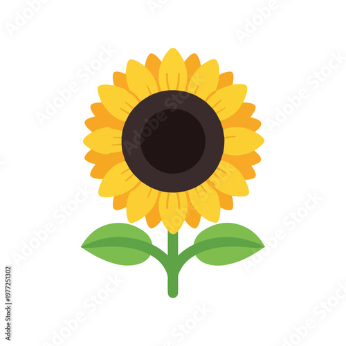 Sunflower plant with large black center and green stem and leaves